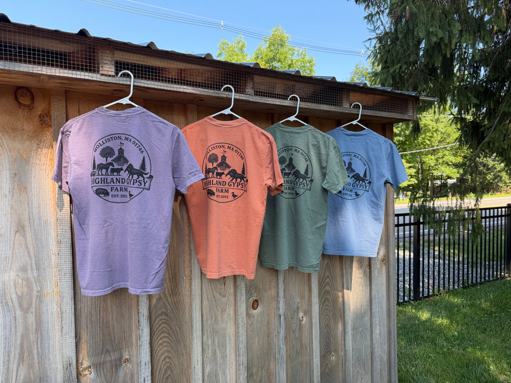 Logo T-Shirt